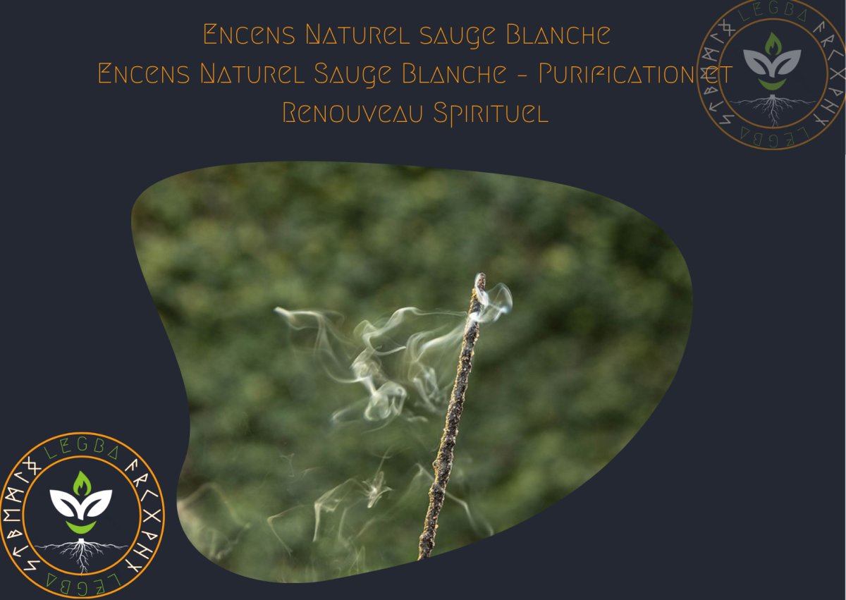 Encens Naturel Sauge Blanche – Purification et Renouveau Spirituel - LEGBA