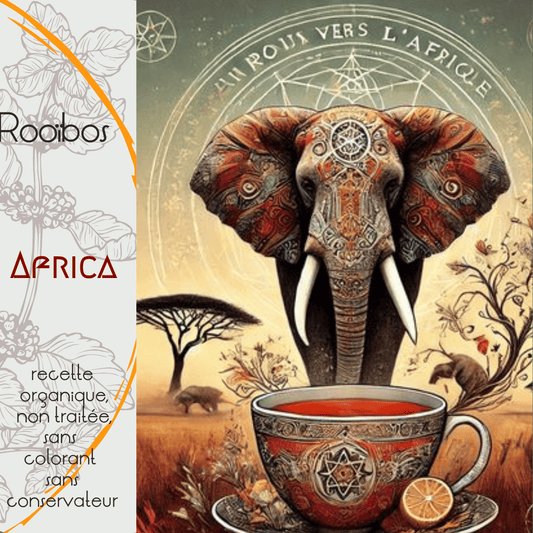 Rooibos Africa – Mangue, Menthe & Citron | LEGBA