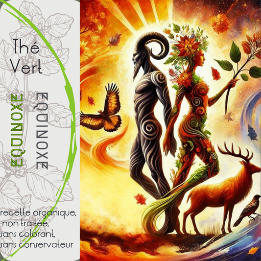Thé Vert Équinoxe – Orange & Cannelle | LEGBA