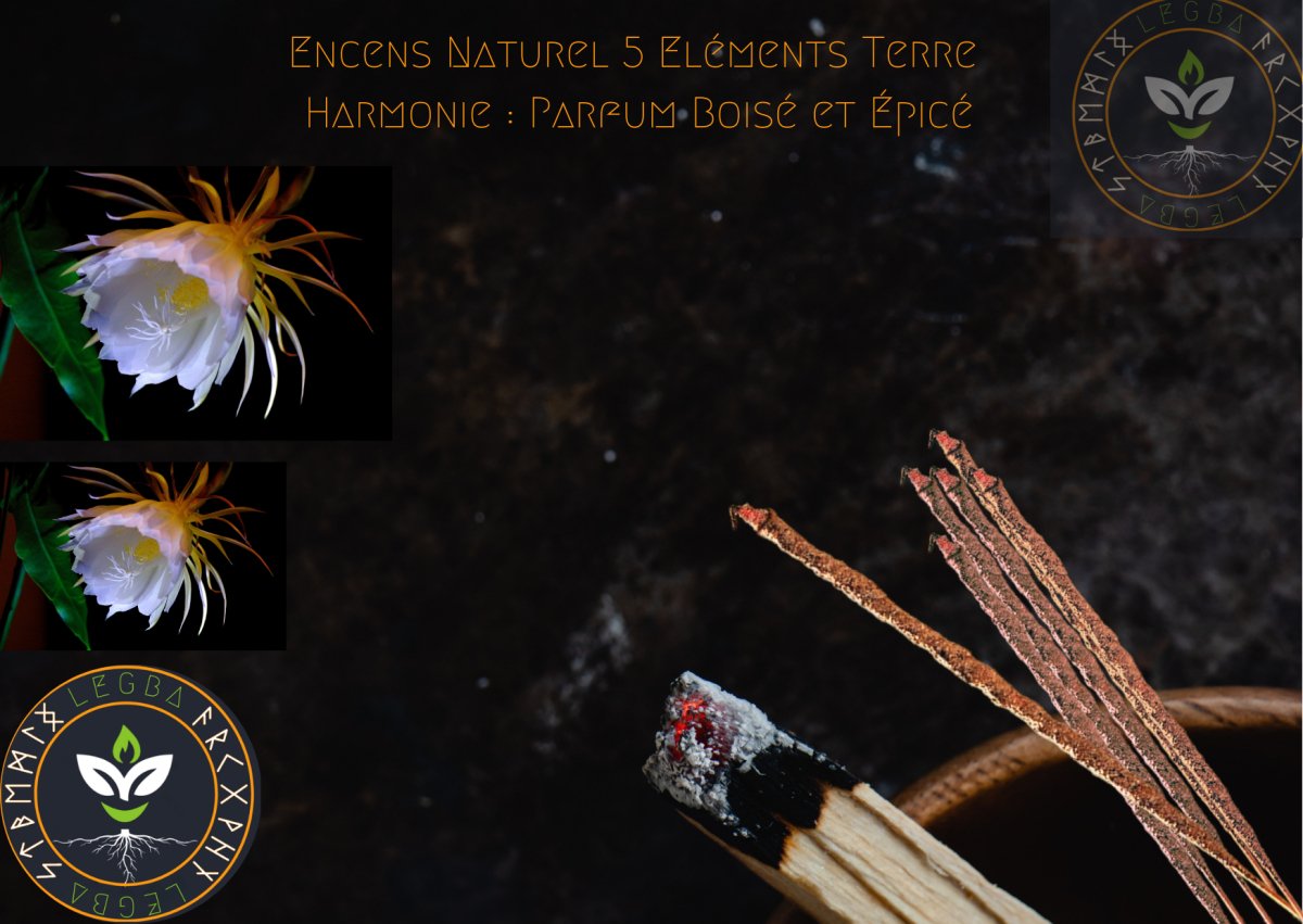 Encens Naturel 5 Elements Terre – Harmonie : Parfum Boisé et Épicé - LEGBA