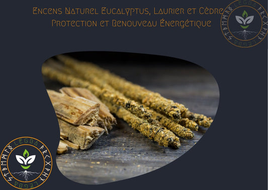 Encens Naturel Eucalyptus, Laurier et Cèdre – Protection et Renouveau Énergétique - LEGBA