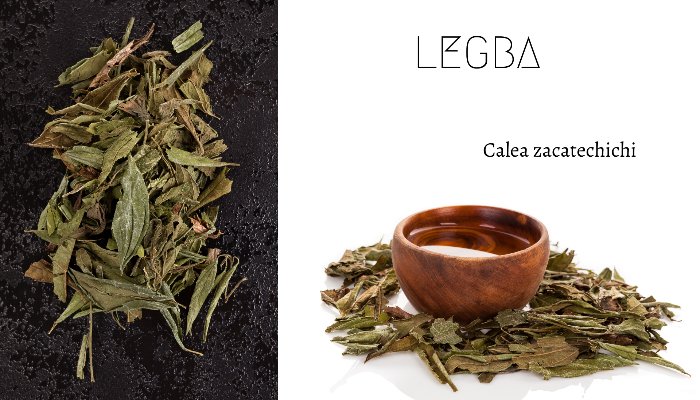 Herbe Séchée de Calea Zacatechichi - Portail des Rêves - LEGBA