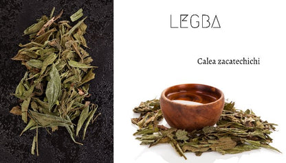 Herbe Séchée de Calea Zacatechichi - Portail des Rêves - LEGBA