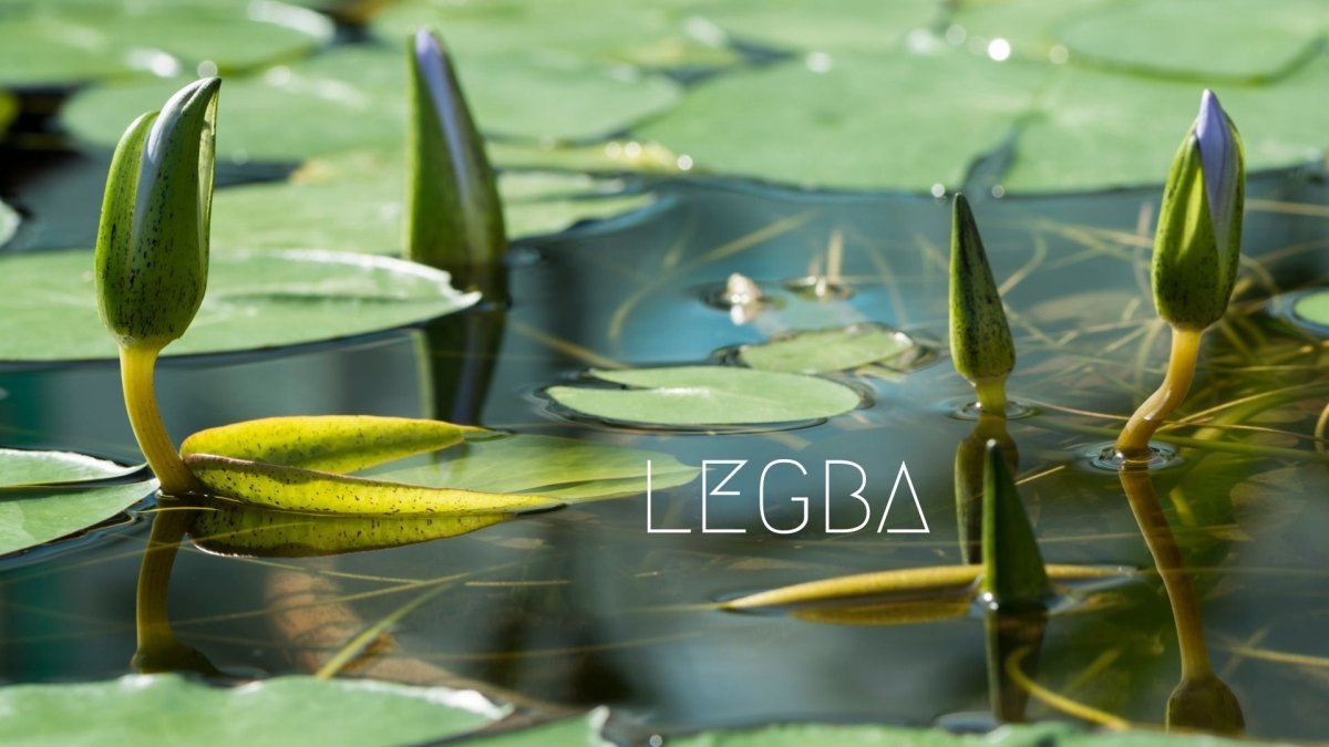 Lotus Bleu de LEGBA: Rare et Mystique, un Trésor Ancien - LEGBA