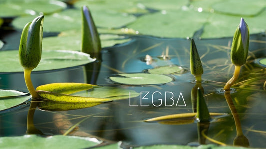 Lotus Bleu de LEGBA: Rare et Mystique, un Trésor Ancien - LEGBA