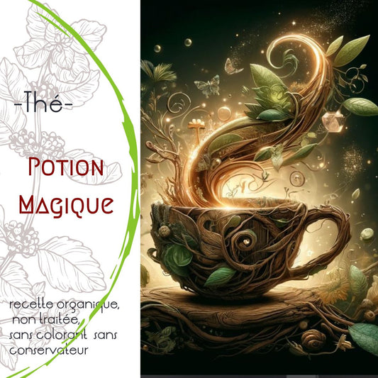 Thé Vert Potion Magique LEGBA, mélange fruité kalamansi goyave à base de thé vert China Sencha et jasmin